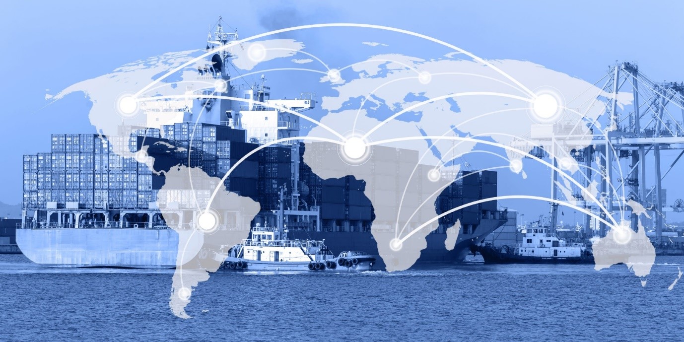 Imports and Exports Support at WTC AMTZ